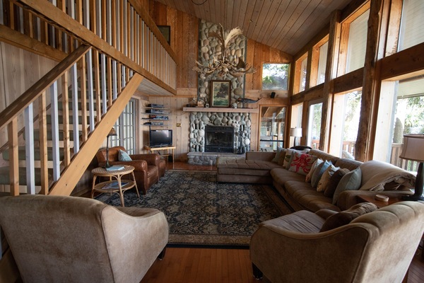 Televisión, chimenea, reproductor de DVD, libros