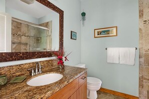 Shower, hair dryer, towels, toilet paper