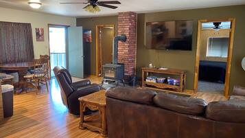 TV, fireplace, books