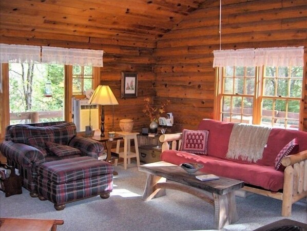 Fernseher, Kamin, DVD-Player, Bücher