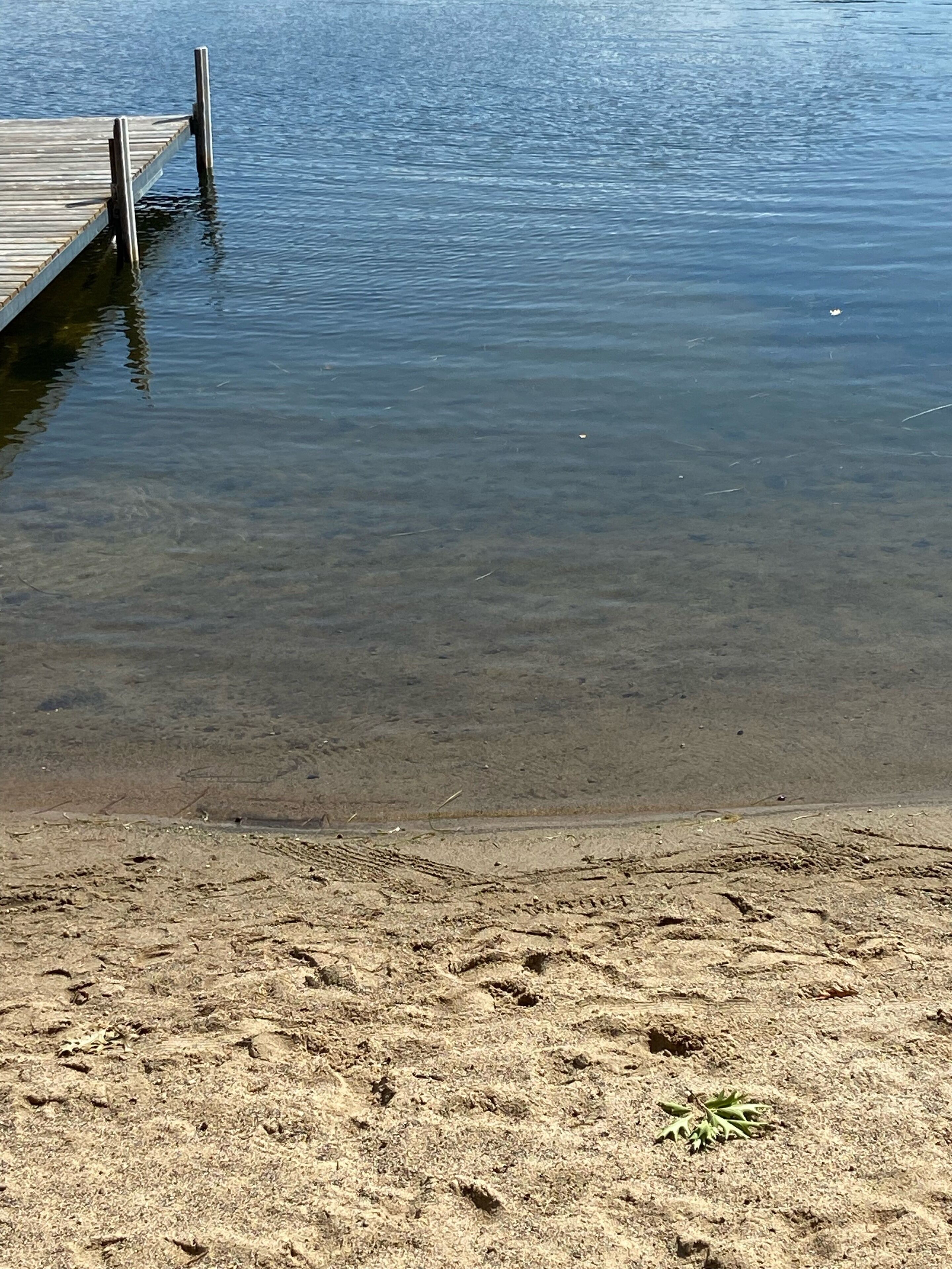 Plage, chaises longues