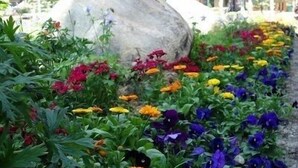 A garden with a variety of colorful flowers and a large rock in the center. - 5th-Floor With Beautiful Views • Full Kitchen • Elegant New Italian Sleeper Sofa (Winter Park)