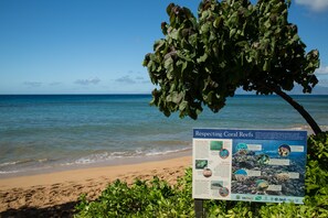 在海滩