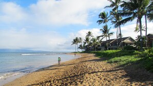 A sandy beach with palm trees and a clear sky.