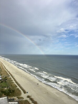 On the beach, sun loungers