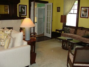 TV, fireplace, books