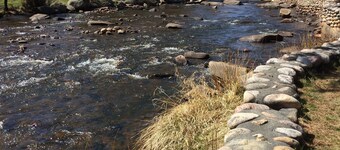 Cozy cabin by the Big Thompson river - Close to Downtown and RMNP