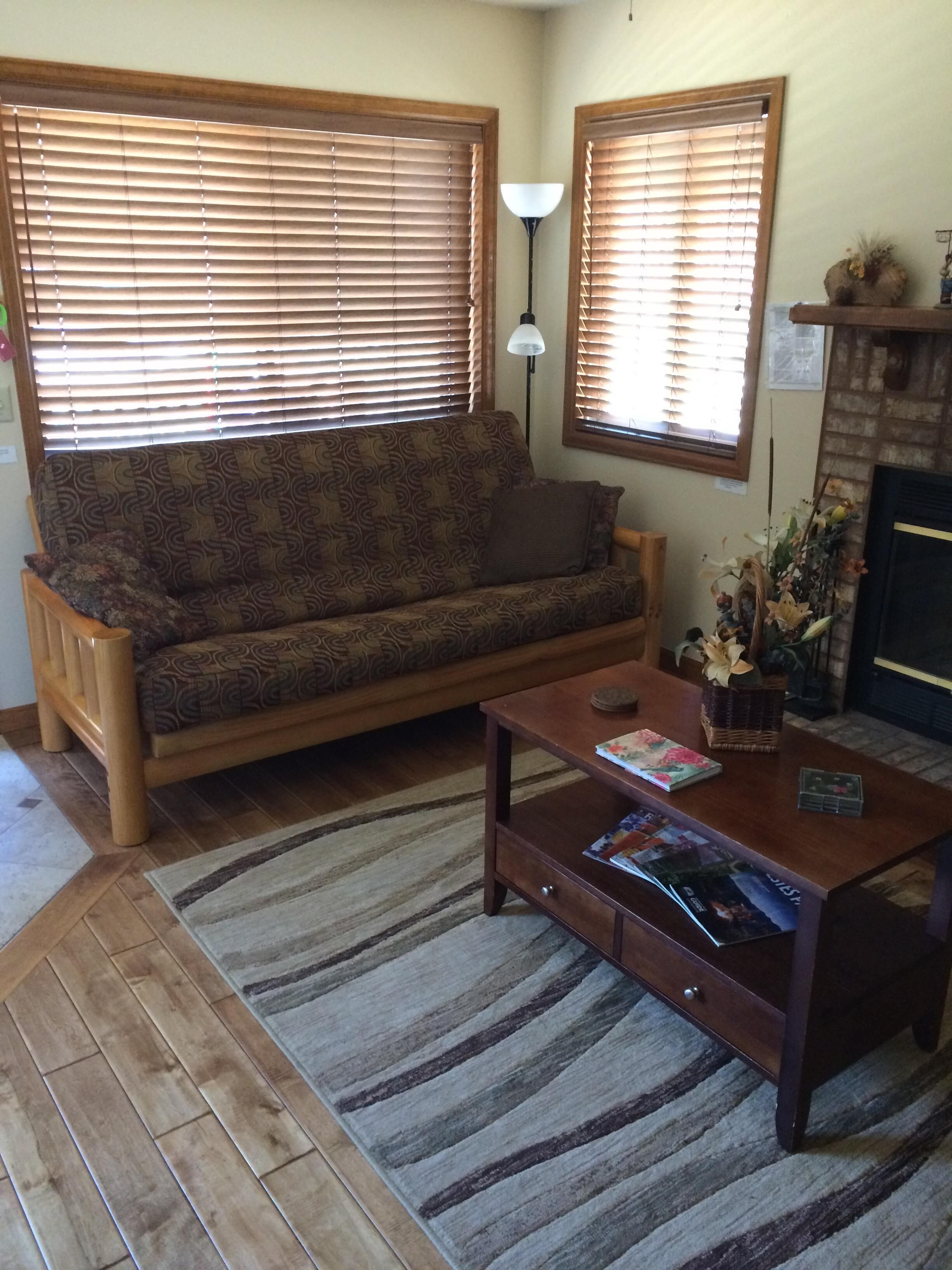 电视、壁炉、DVD 播放器、书