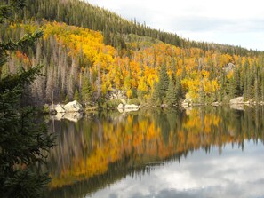 Ein ruhiger See, umgeben von dichtem Wald mit Herbstlaub, dessen Spiegelungen im Wasser schimmern.