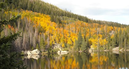 Viihtyisä mökki Big Thompson -joen varrella - lähellä keskustaa ja RMNP: tä