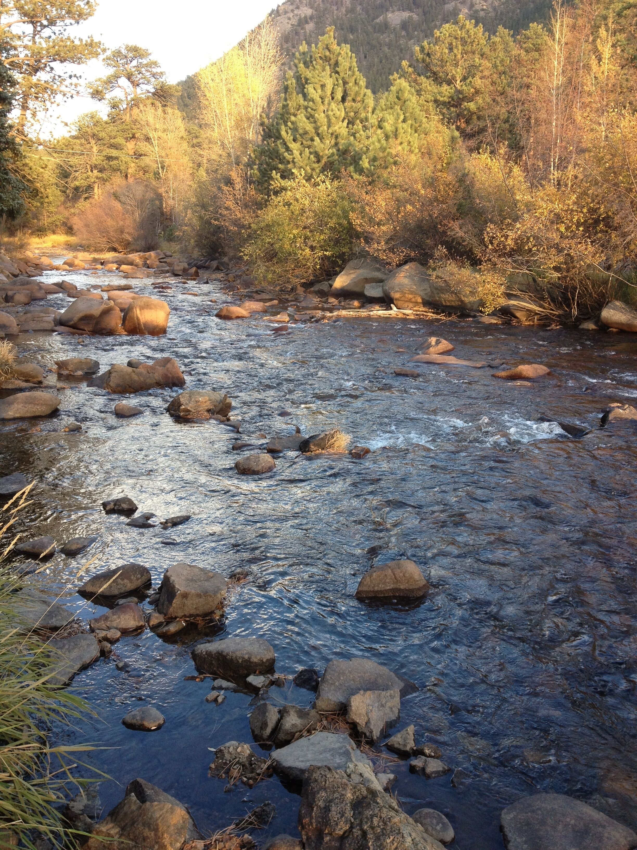 Un fiume con grosse rocce e alberi sullo sfondo.