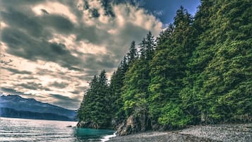 Una spiaggia nelle vicinanze