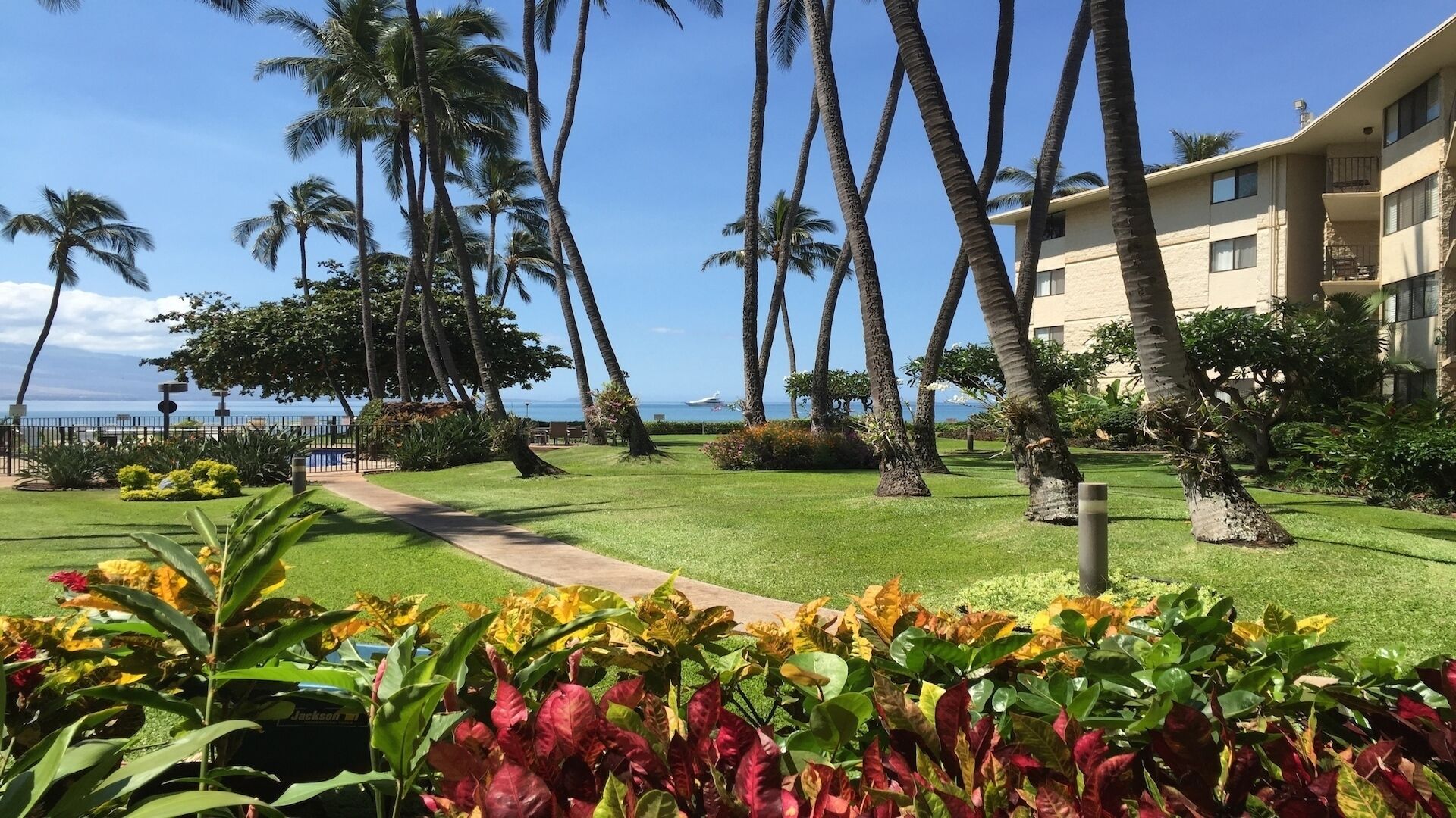 A resort with a well-maintained lawn, palm trees, and a view of the ocean.