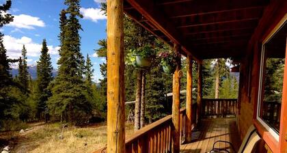 ☆ Denali Sunset House - ¡Un paisaje salvaje con comodidades!