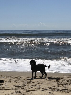 En la playa 