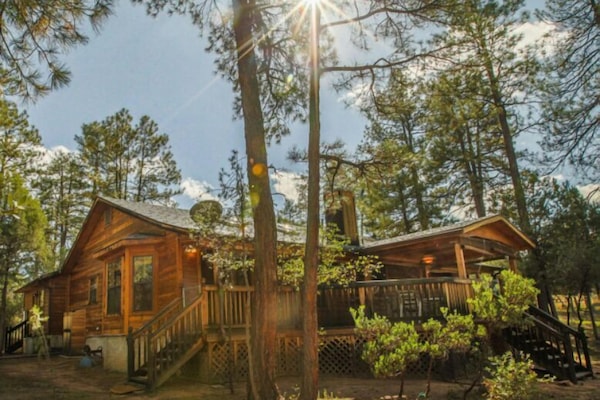 View of property from the backyard