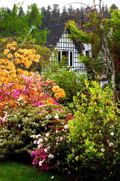 Riverfront Redwood Retreat Nestled in Nature