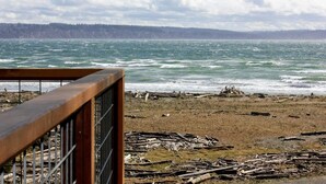 A view of a beach with a wooden railing and driftwood scattered on the shore.