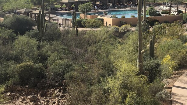 Ett semesterparadis med pool, kaktusar och en bergig bakgrund.