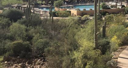 🌵Oasis In Starr Pass🌵Sonoran Desert Harrastajan leikkipaikka ☀️Vitamiini D sisältyy☀️