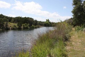 A river with a grassy bank and trees in the background.