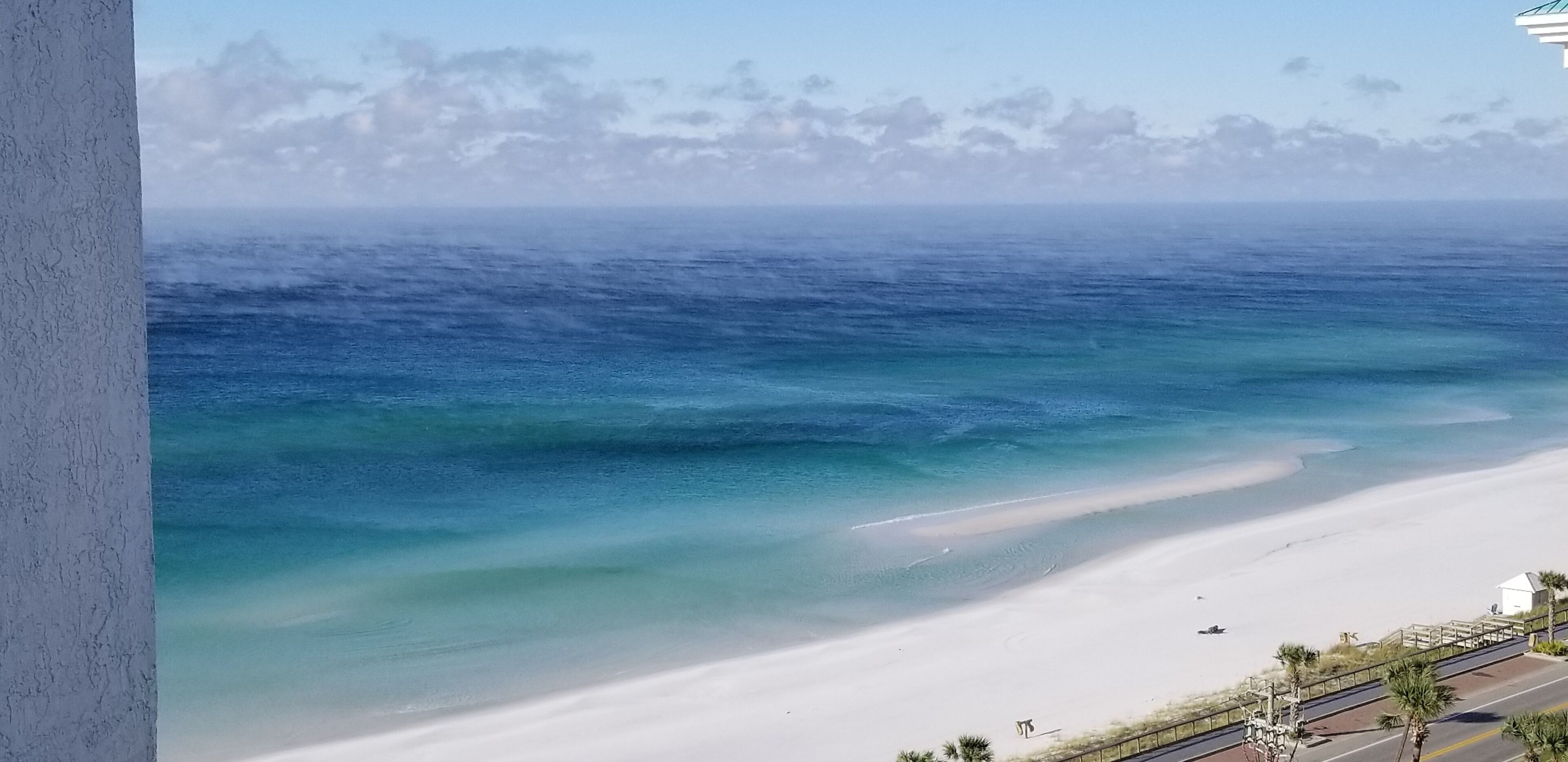 A coastal view with a beach, ocean, and a road with a fence and palm trees.