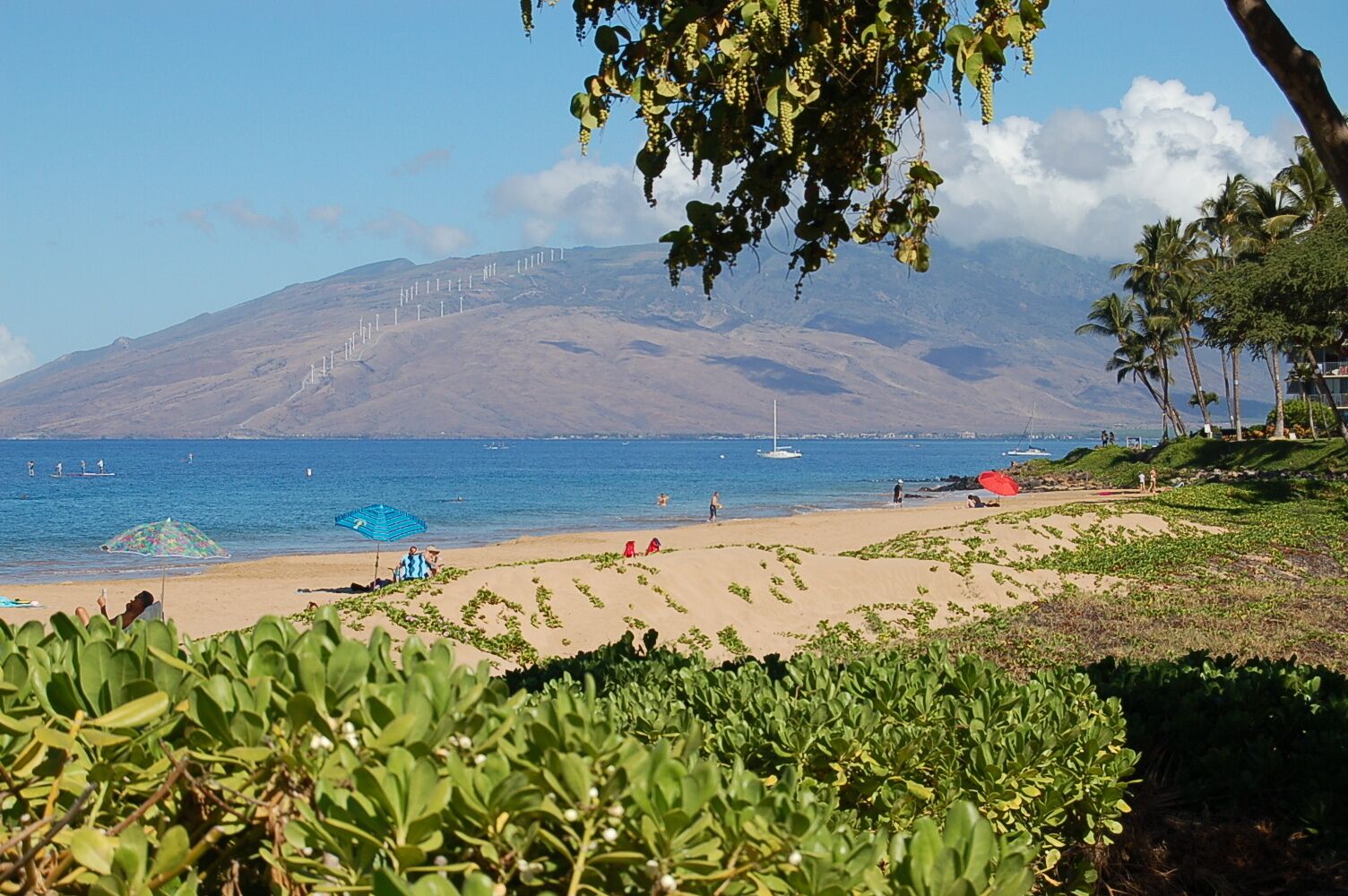 Beach nearby, sun loungers, beach towels
