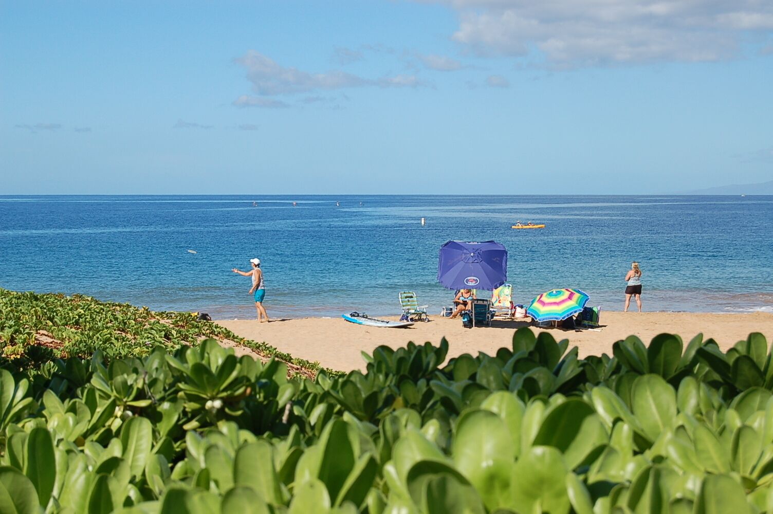 Beach nearby, sun loungers, beach towels