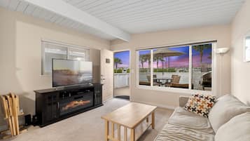 Smart TV, chimenea, reproductor de DVD y libros