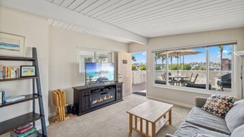 Smart TV, chimenea, reproductor de DVD y libros