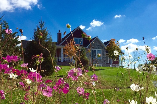 A pretty outside view of our home from the roadside. Summer flowers in bloom!