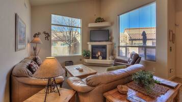 智能電視、壁爐、DVD 播放機、書籍