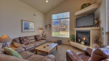 Smart TV, fireplace, DVD player, books