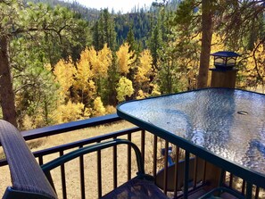 A glass-top table with a metal railing, overlooking a forest with yellow foliage. - Look no more!  You have found the perfect place for precious family time. (Hill City)