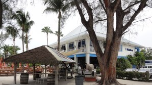 Un restaurant situé en bord de mer, doté d’une terrasse, d’une structure à toit de chaume et d’un grand arbre.