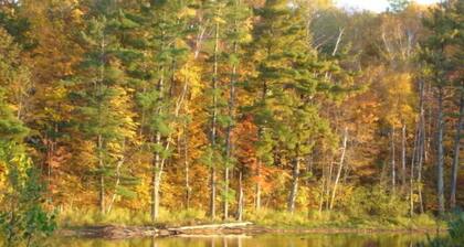 'Pinecone Retreat' Book Your Fun Now! Spider Lake Resort