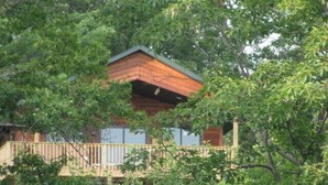 Een houten vakantiehuis met balkon, omringd door dichte begroeiing.