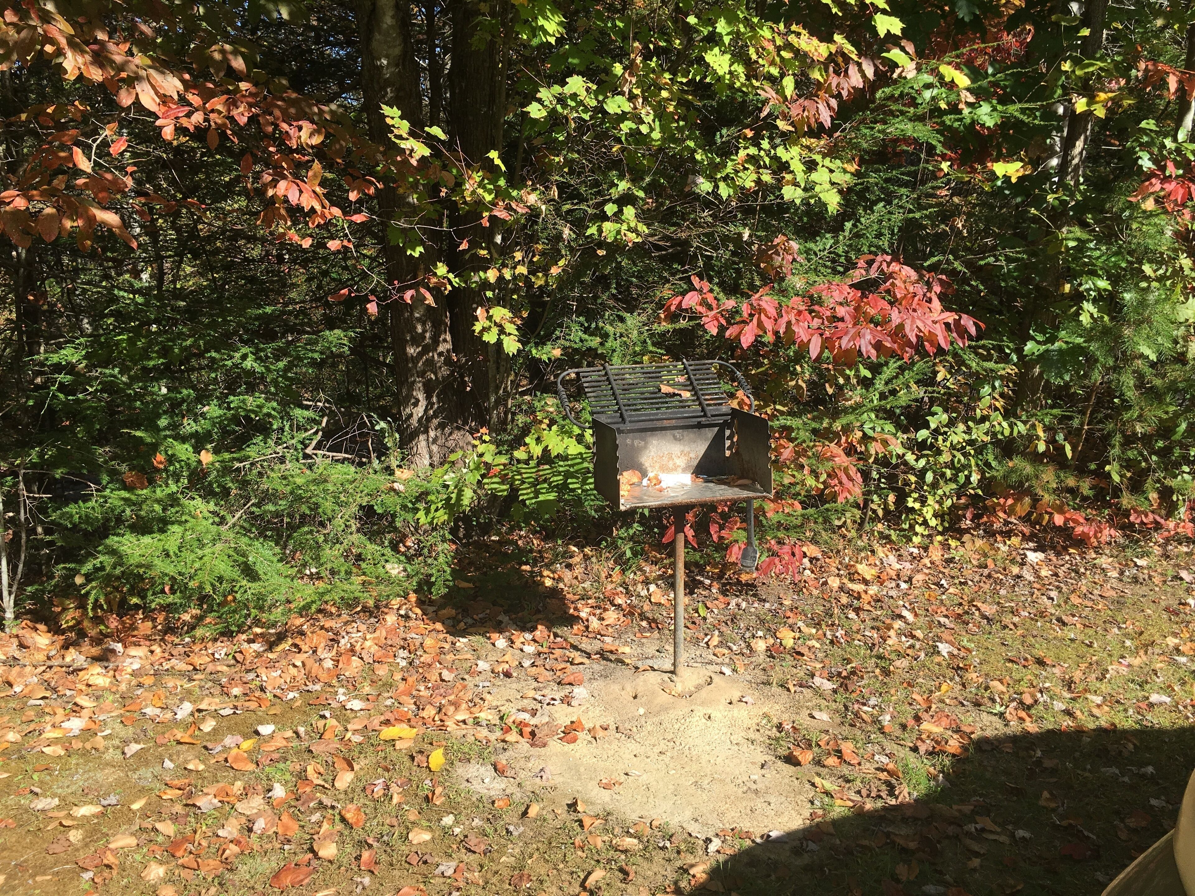 Overnatningsstedets område