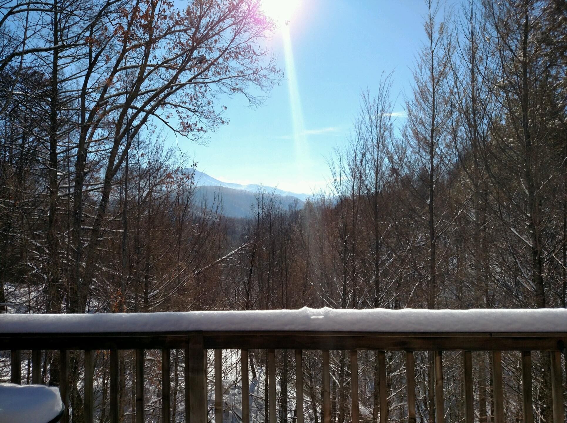 A snowy landscape with bare trees and a mountain in the background.