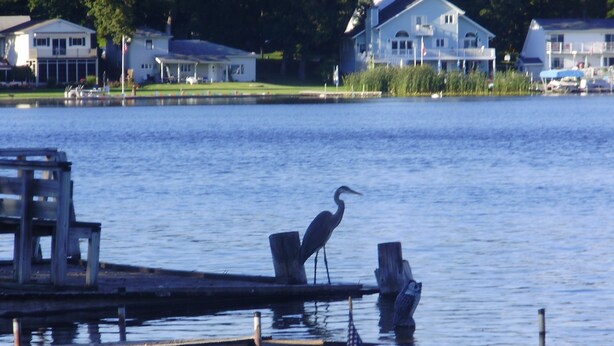 A lakeside view with a dock, a bird, and an American flag. - Vacation at Garver Lake ~ Private Beach For Your Enjoyment! (Edwardsburg)