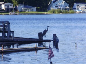 A lakeside view with a dock, a bird, and an American flag. - Vacation at Garver Lake ~ Private Beach For Your Enjoyment! (Edwardsburg)