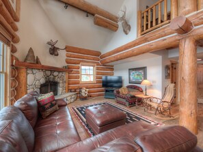 TV, fireplace, video game console, stereo