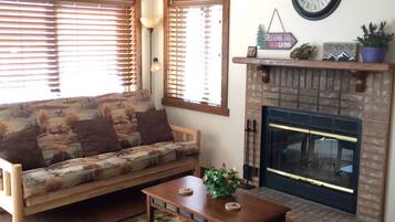 电视、壁炉、DVD 播放器、书