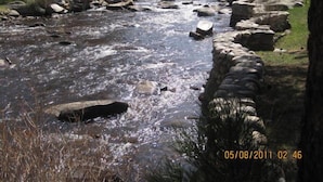 Un río que serpentea por un sendero empedrado con rocas y vegetación.