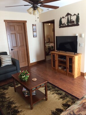 TV, fireplace, DVD player, books