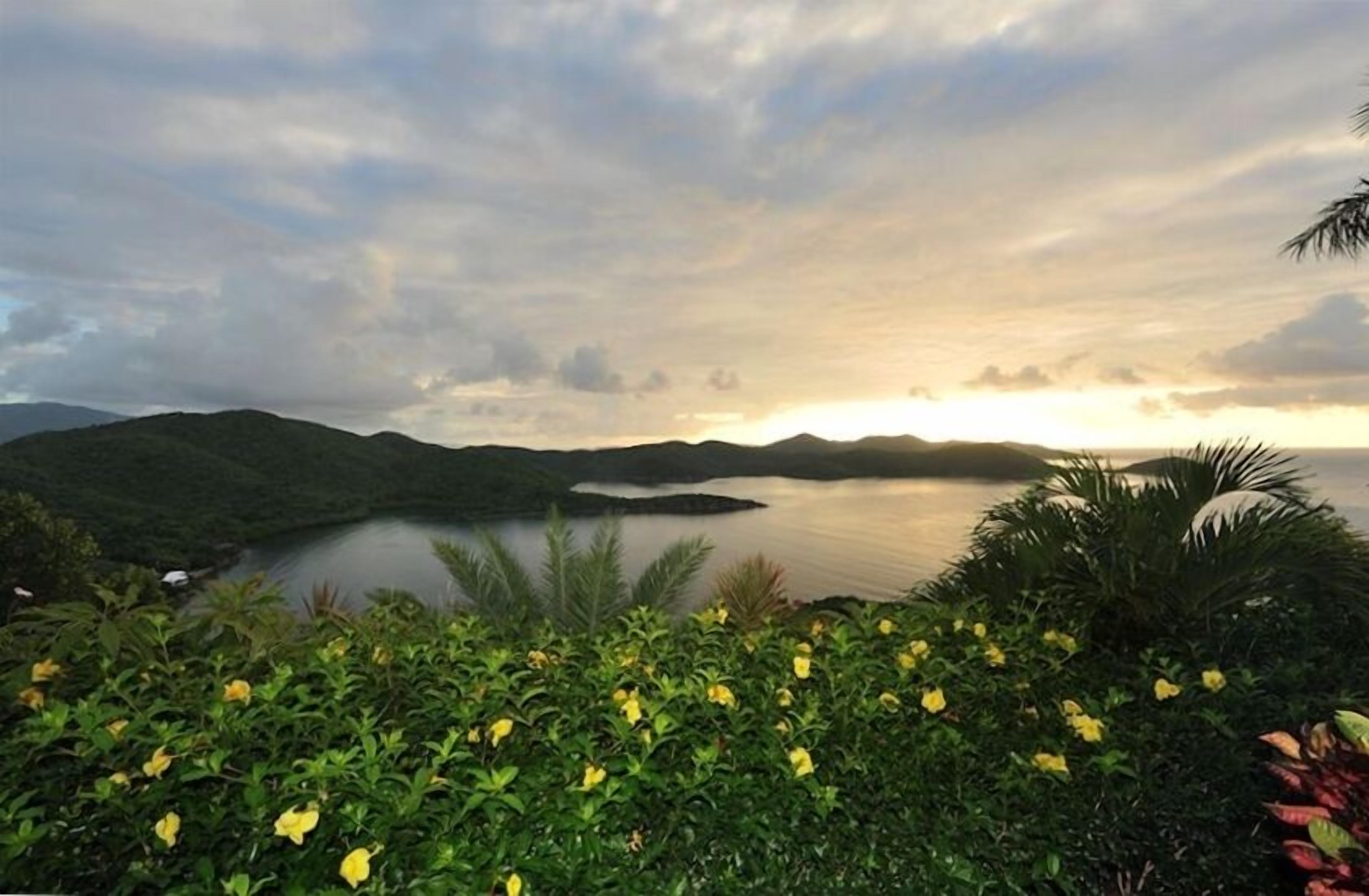 Paisagem costeira com um lago, colinas e plantas floridas em primeiro plano.