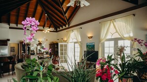 A spacious living room with a high ceiling, wooden beams, and large windows. There are several potted plants and a television in the room. - Heaven's Gate - Off Grid Ocean View Villa (Coral Bay)
