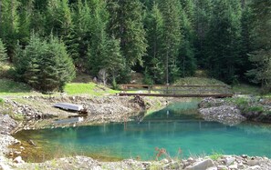 Pool - BEAUTIFUL ELK MOUNTAIN RANCH ADJOINS OVER 2 MILLION ACRES OF NATIONAL FOREST! (Coeur d'Alene)