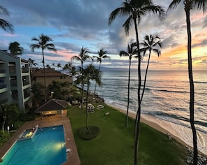 A resort with a swimming pool, palm trees, and ocean views.