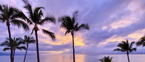 A la platja, gandules de platja i tovalloles de platja